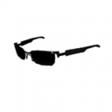 Wesker Sunglasses